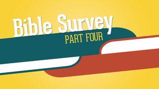 Bible Survey: Part Four