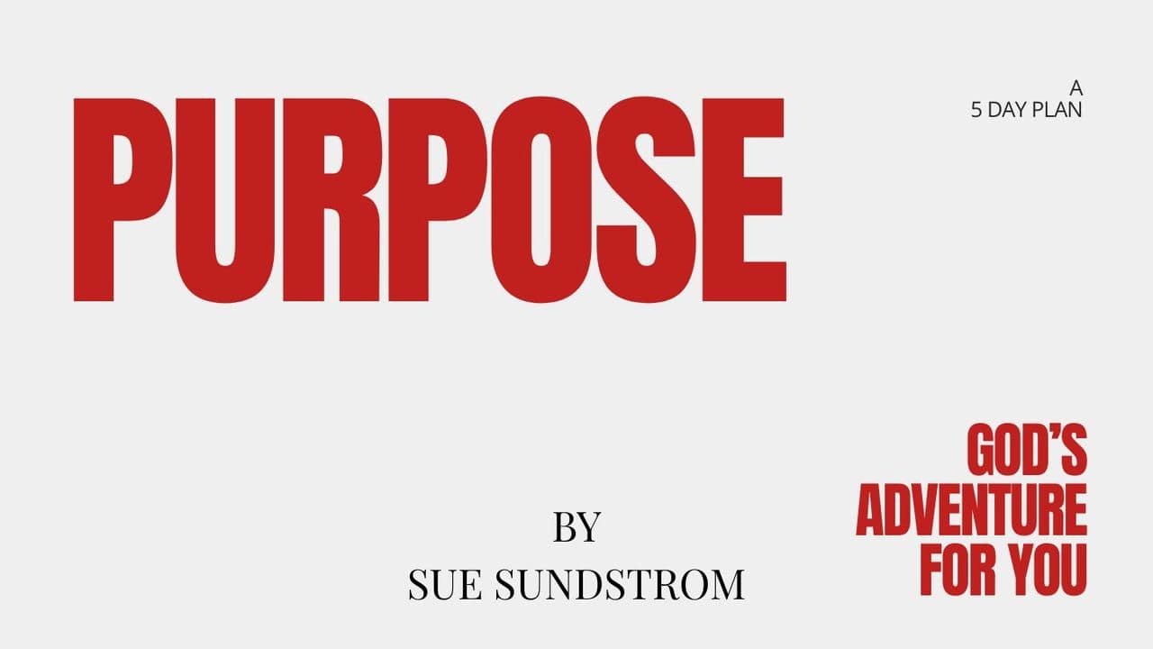 Purpose: God's Adventure for You