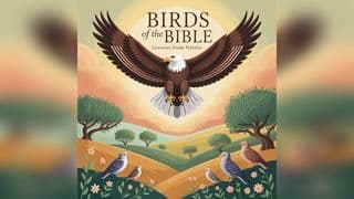 Birds of the Bible: Lessons From Nature