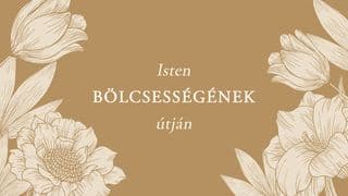 Isten bölcsességének útján