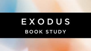 Exodus Book Study - TheStory