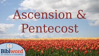 Ascension and Pentecost