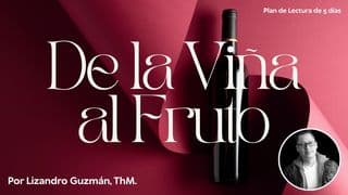 De La Viña Al Fruto
