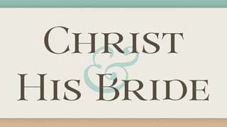 Christ and His Bride
