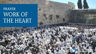 PRAYER: THE WORK of the HEART