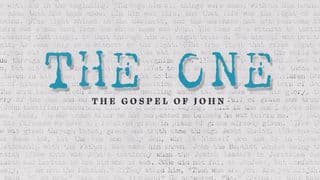 Gospel of John - the One