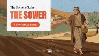The Sower - 7 Day Challenge