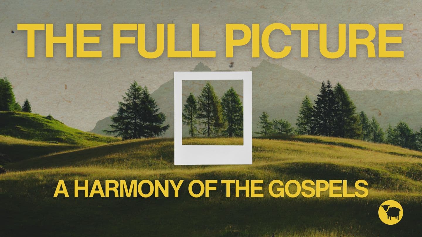 The Full Picture: A Harmony of the Gospels