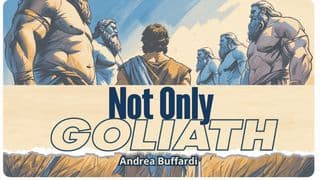 Not Only Goliath
