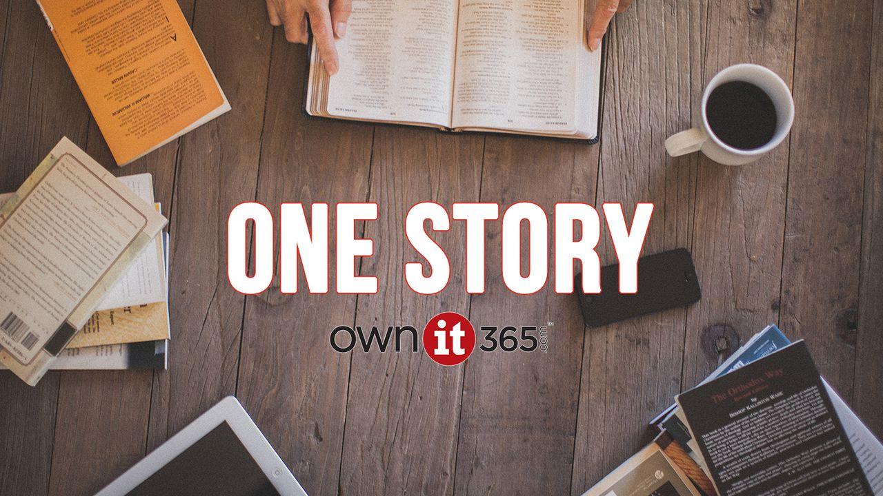 OWNit365 One Story