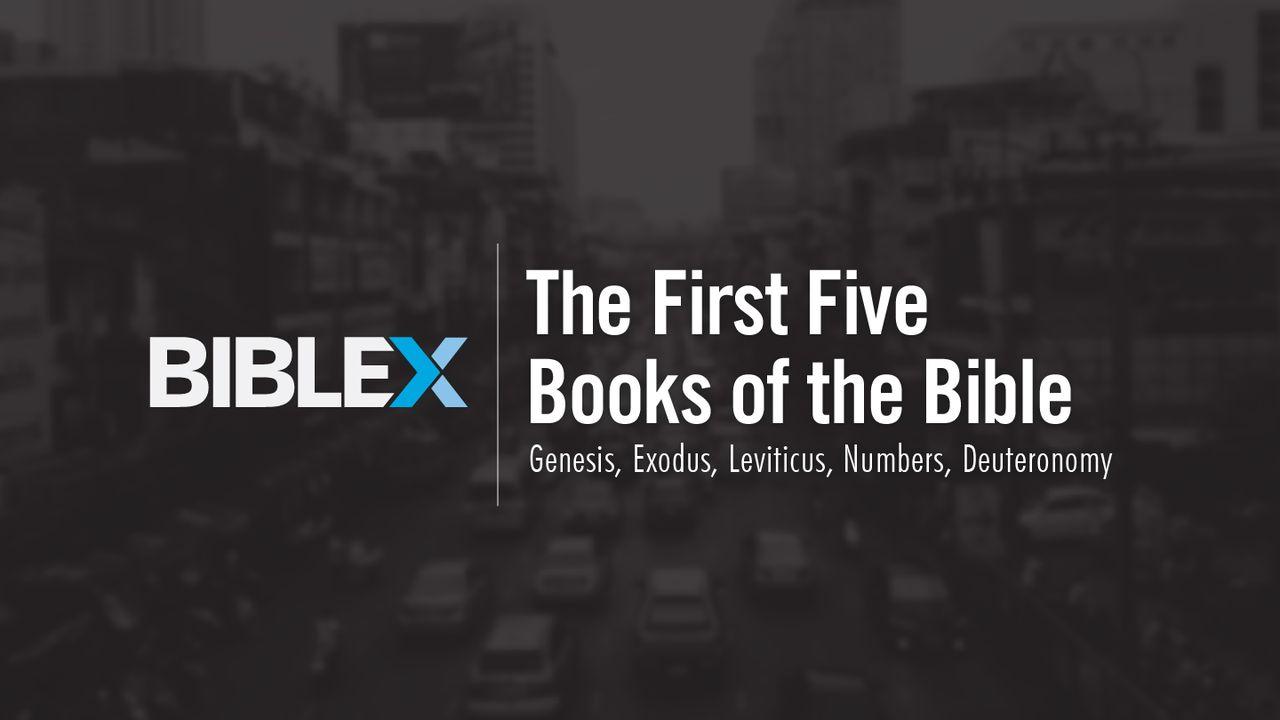 BibleX: The First 5 Books of the Bible