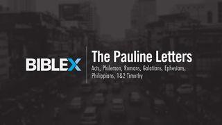 BibleX: The Pauline Letters