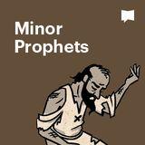 BibleProject | Minor Prophets