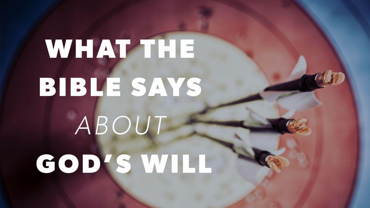 What the Bible Says: The Blessing of God’s Will